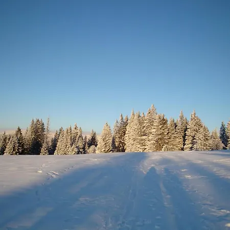 Seitz 2 In Bayerisch Eisenstein